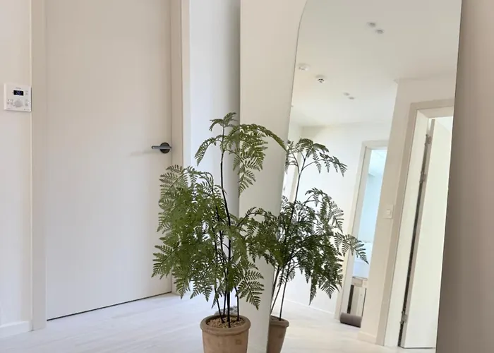 New L Hongdae 3br L 4 Queen Beds L 5min Walk *